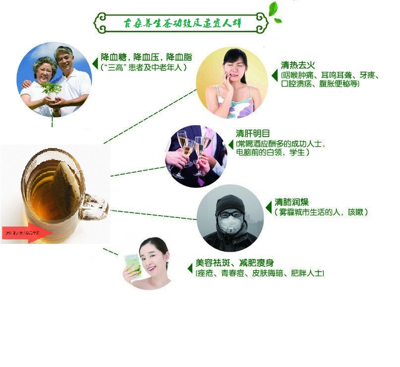 桑葉茶，營(yíng)養(yǎng)長(zhǎng)壽健康之茶